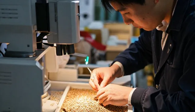 有机蔬菜种子贮存技术的关键要点与实操建议
